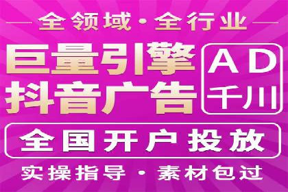 百度竞价与搜索引擎优化（SEO）的协同效应案例